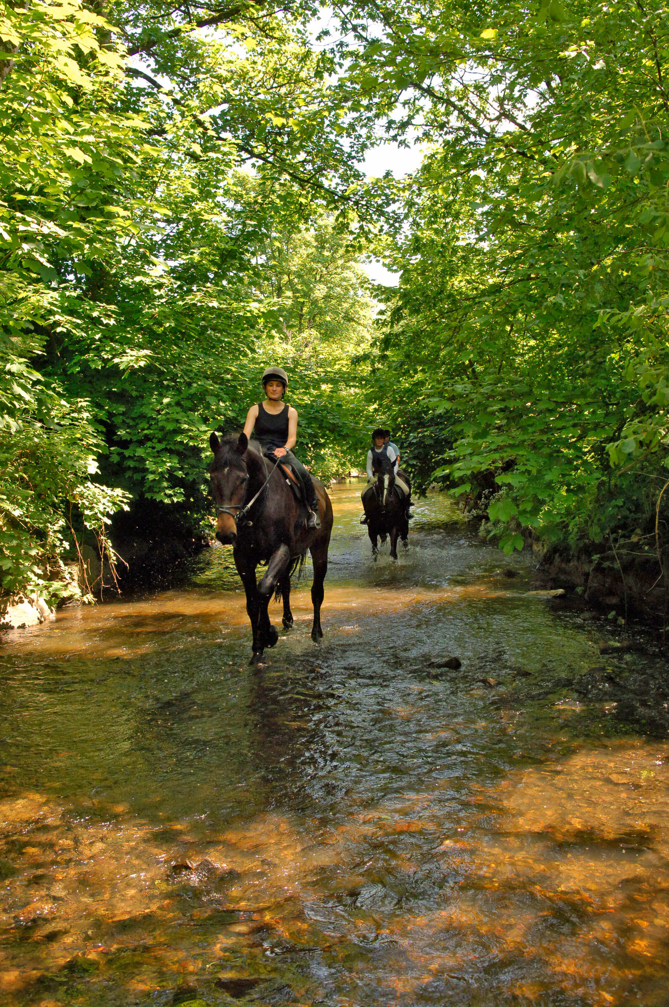 Castle Leslie Equestrian